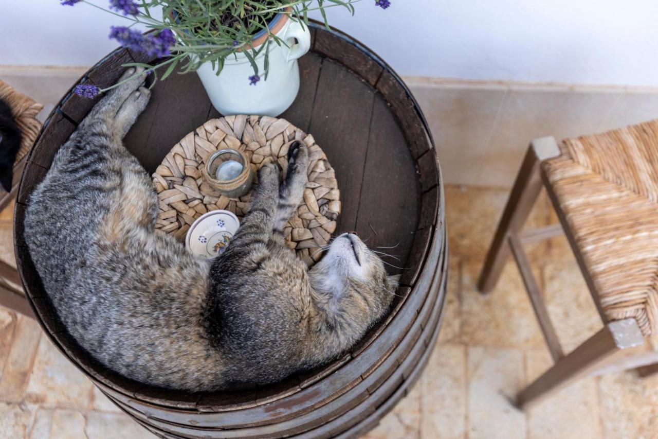 B&B Villa Mamma Grazia San Vito dei Normanni Ngoại thất bức ảnh